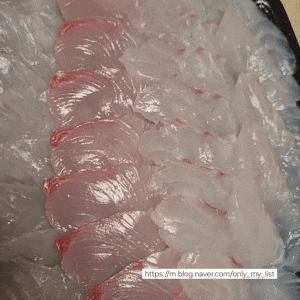 [일출횟집] 강릉 주문진 횟집 수산시장 회 포장 맛집 추천