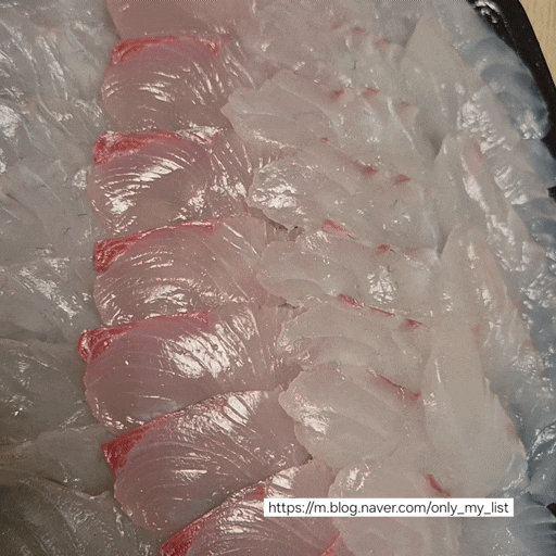 [일출횟집] 강릉 주문진 횟집 수산시장 회 포장 맛집 추천
