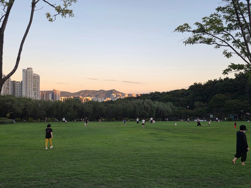 [강북구 가볼만한 곳] 피크닉 장소 추천, 북서울 꿈의숲 주차, 놀이터 등 정보 총정리