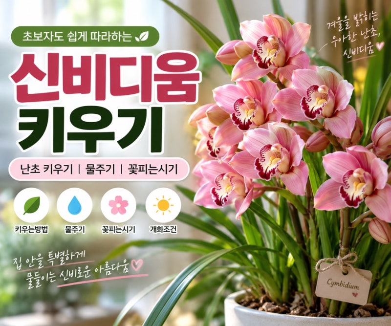 신비디움 키우기 난초 키우기 물주기 꽃피는시기
