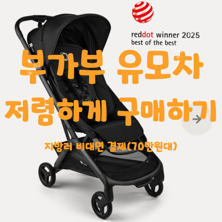 [2026 부가부페어] 버터플라이2 74만원 비대면 결제 구매 성공 후기(지방러, 할인정보 공유)