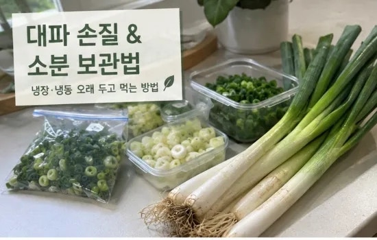 대파 손질 & 소분 보관법｜냉장·냉동 오래 두고 먹는 방법
