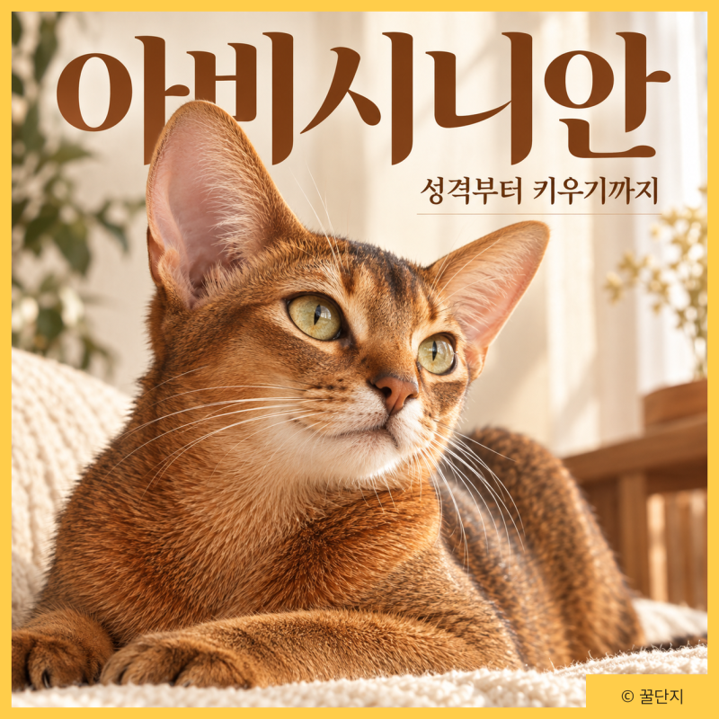 아비시니안 고양이 | 티킹 특징 성격 유전질환