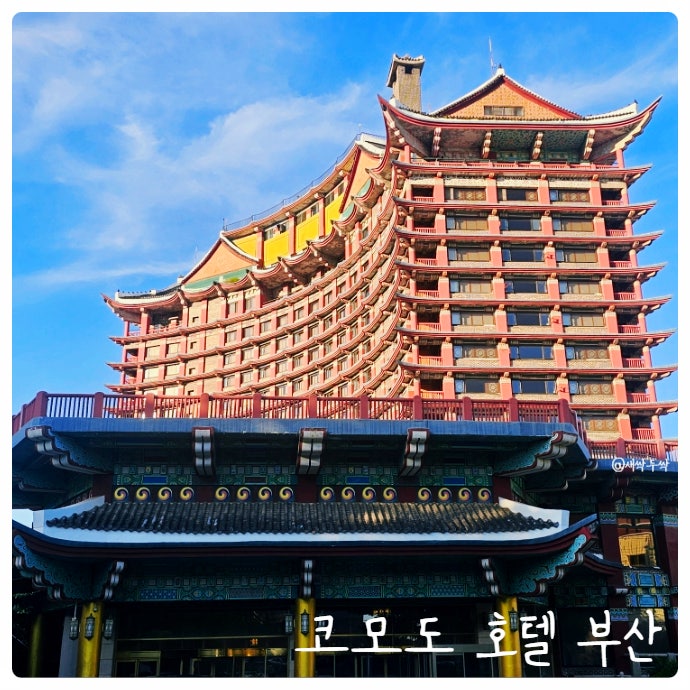 Busan Accommodation Worth Visiting: 'Commodore Hotel Busan' Room Condition and City View Satisfaction, Pool Usage Review (Premier...)