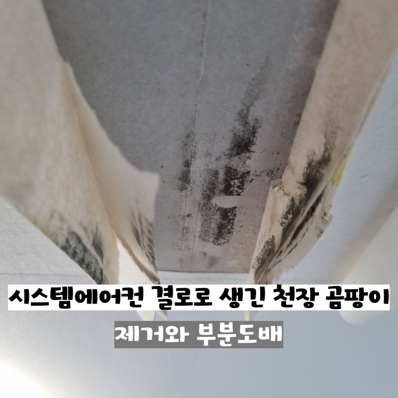 시스템에어컨 결로로 생긴 천장 곰팡이 제거와 부분도배