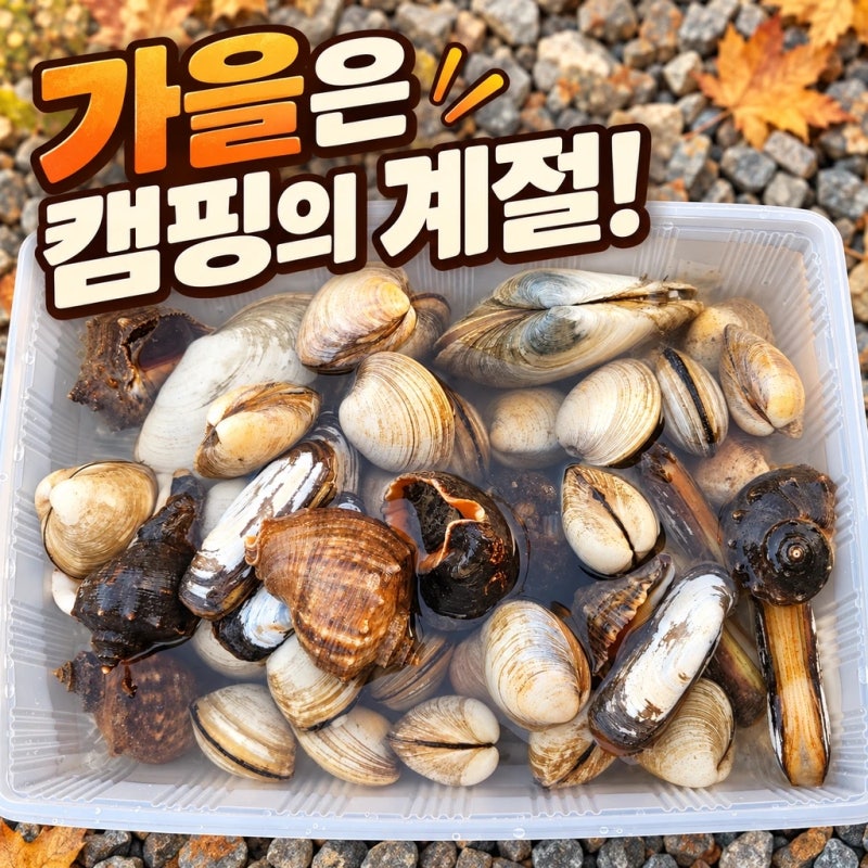 가을은 캠핑의 계절 서해안 태안으로 캠핑장 모음전!!!