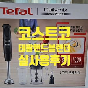 코스트코 테팔 핸드블렌더 후기｜1000W 데일리믹스 직접 사용해봤어요