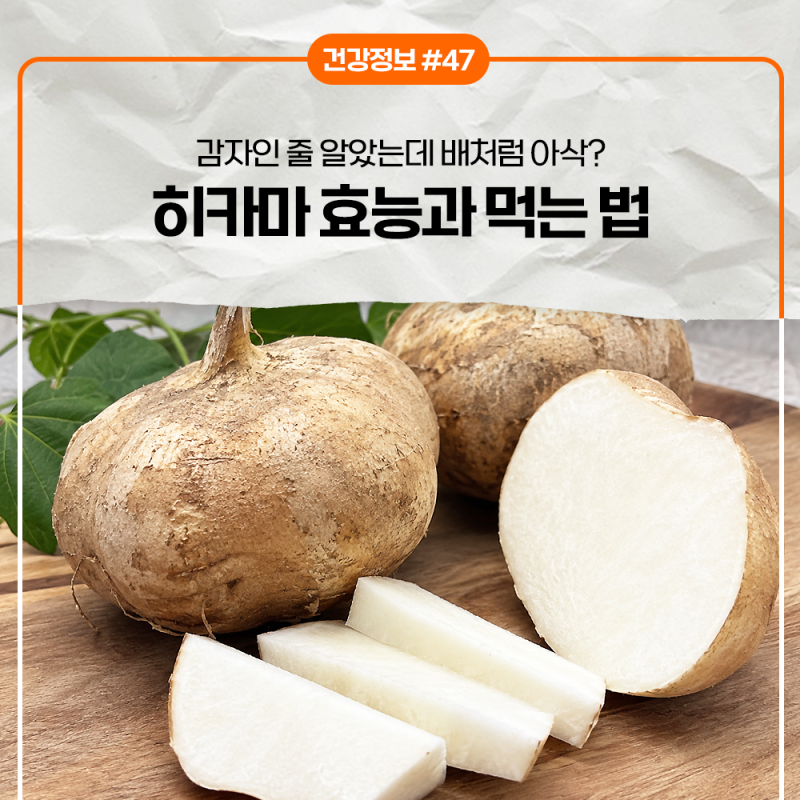 감자인 줄 알았는데 배처럼 아삭? 히카마 효능과 먹는 법