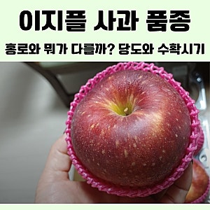 이지플 사과 품종, 홍로와 뭐가 다를까? 당도와 수확시기