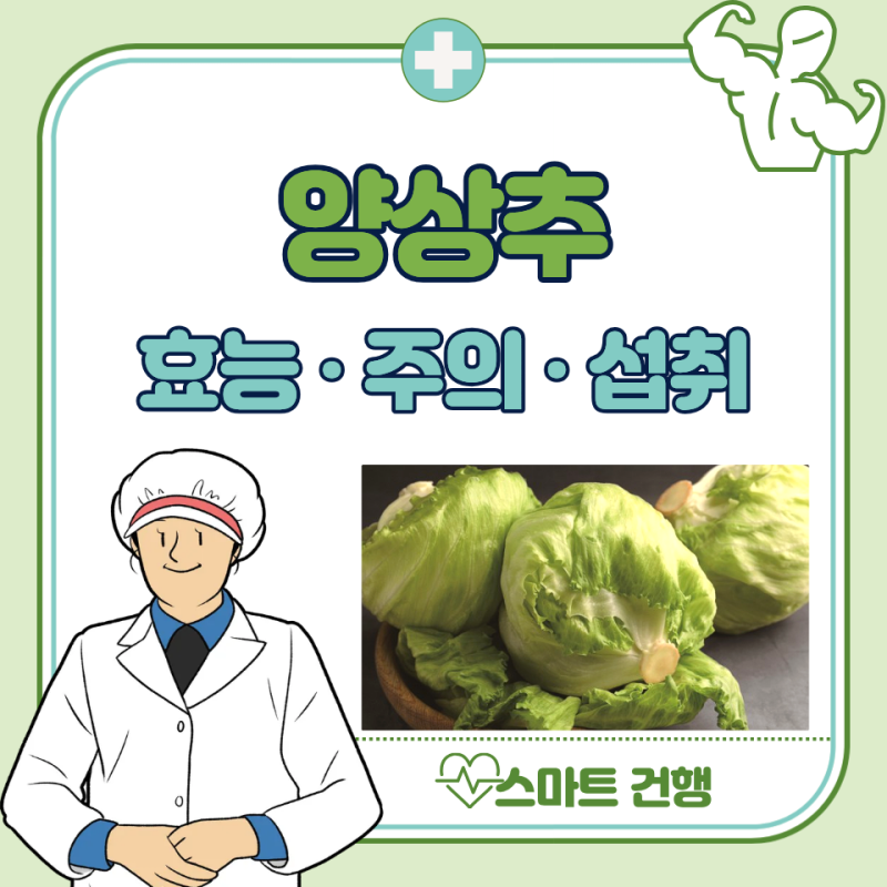 양상추 효능 5가지, 보관법, 부작용 : 손질