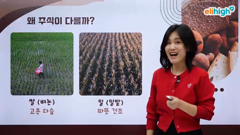 쌀과 밀 차이는? 통밀빵·현미밥이 건강한 이유