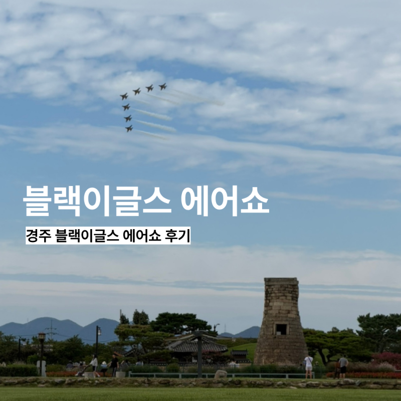 경주 블랙이글스 에어쇼 아이와 다녀온 후기, 주차장, 위치 공유