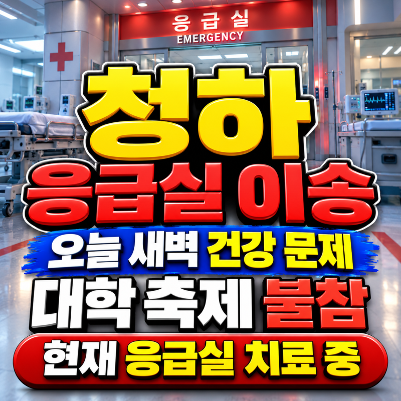 가수 청하, 오늘 새벽 응급실 이송, 갑작스러운 건강 문제…현재 상태는?