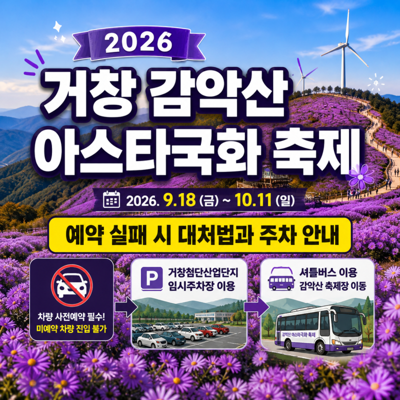 2026 거창 감악산 아스타국화 축제 성공 팁 : 예약 실패 시 대처법과 주차 안내