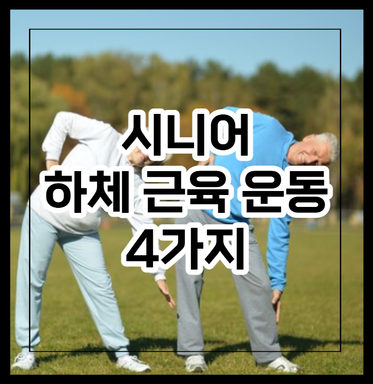 시니어 하체 근력 운동 4가지