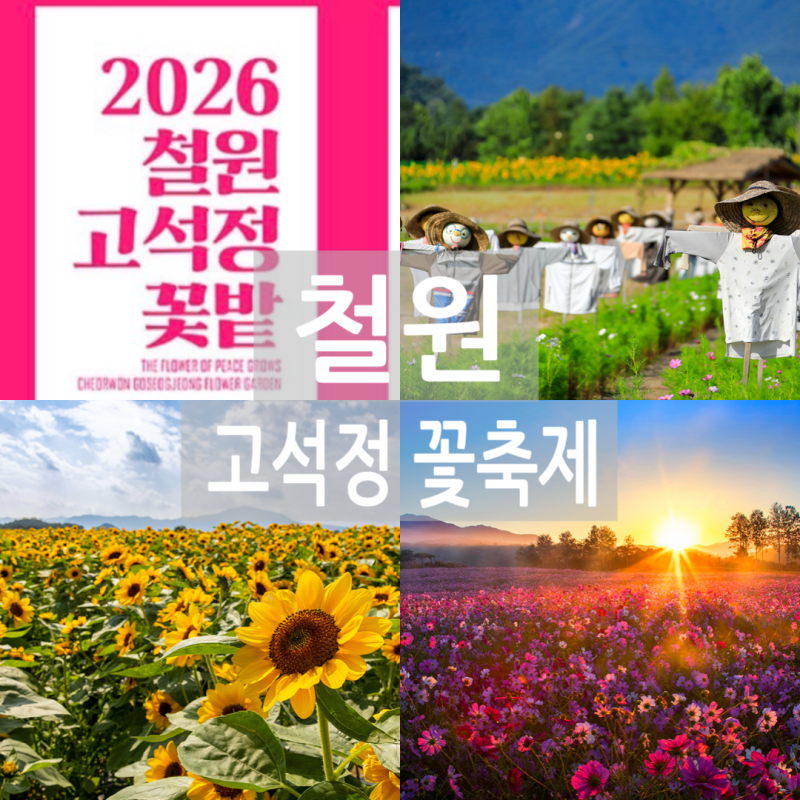 가을 노을빛으로 물든 철원 고석정 꽃밭: 아이랑 가볼만한곳 코스 & 주차·공연시간·먹거리 ....