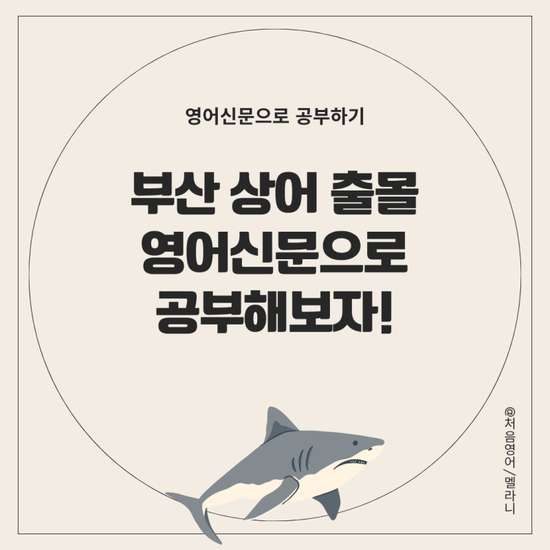 상어 영어로, 부산에 상어가 나타났다! 영어로 한마디해보기!