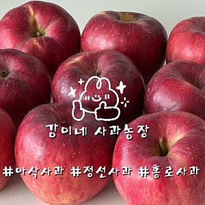 아이 간식으로 챙겨본 강이네사과농장 고랭지 정선 임계사과 3kg 후기