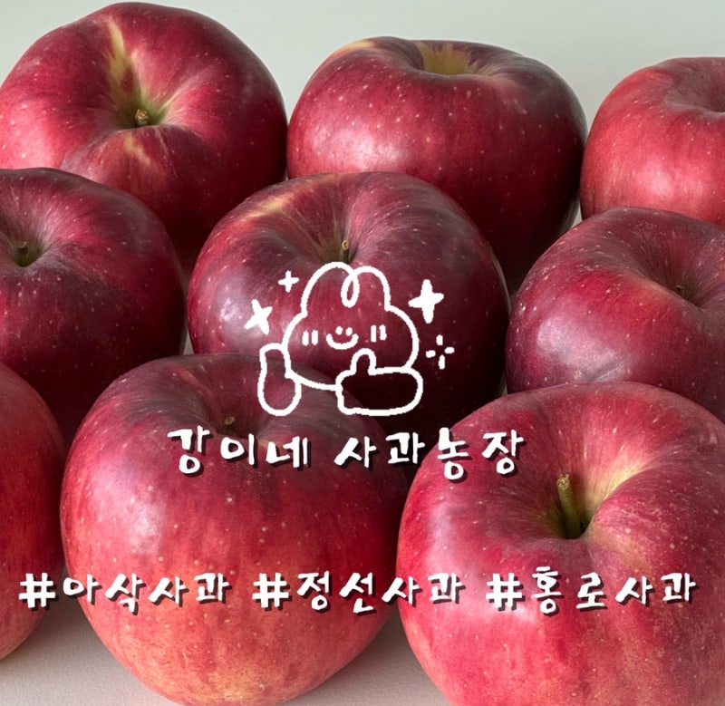 아이 간식으로 챙겨본 강이네사과농장 고랭지 정선 임계사과 3kg 후기