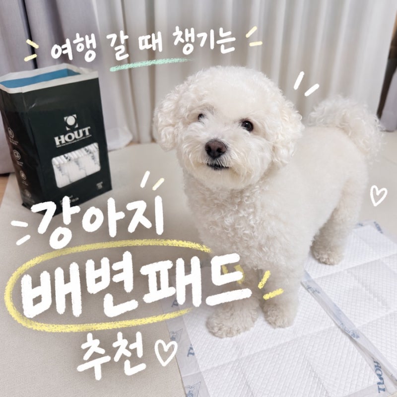 강아지 배변패드 추천 여행 갈 때 챙기기 좋은 하웃 배변패드