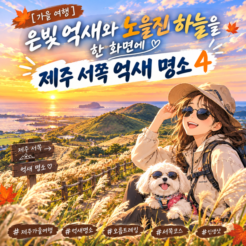 [가을 여행] 은빛 억새와 노을진 하늘을 한 화면에 : 제주 서쪽 오름 억새 명소 4