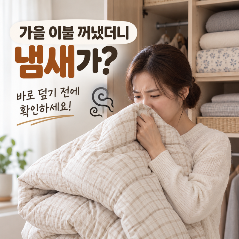 ️ 장롱에서 가을 이불을 꺼냈더니 냄새가 난다? 바로 덮기 전에 해야 할 일