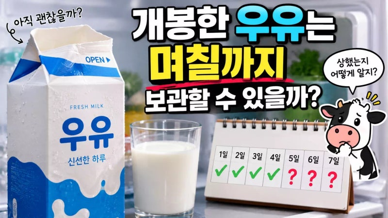 개봉한 우유 보관 기간 며칠까지 안전할까? 올바른 냉장 보관법 총정리
