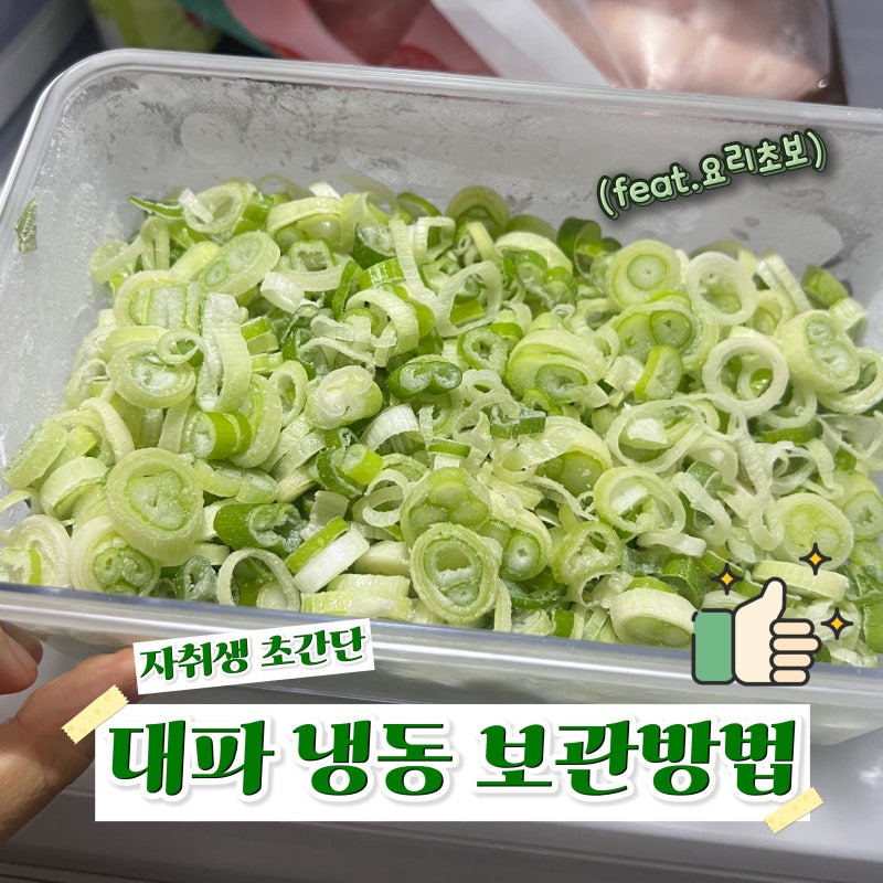 초간단 대파 냉동 보관 방법! :: 간편하게 오래 먹는 자취 살림 꿀팁
