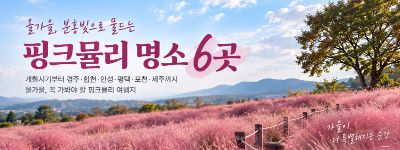 2026 핑크뮬리 명소 6곳｜개화시기부터 경주·합천·안성·제주까지