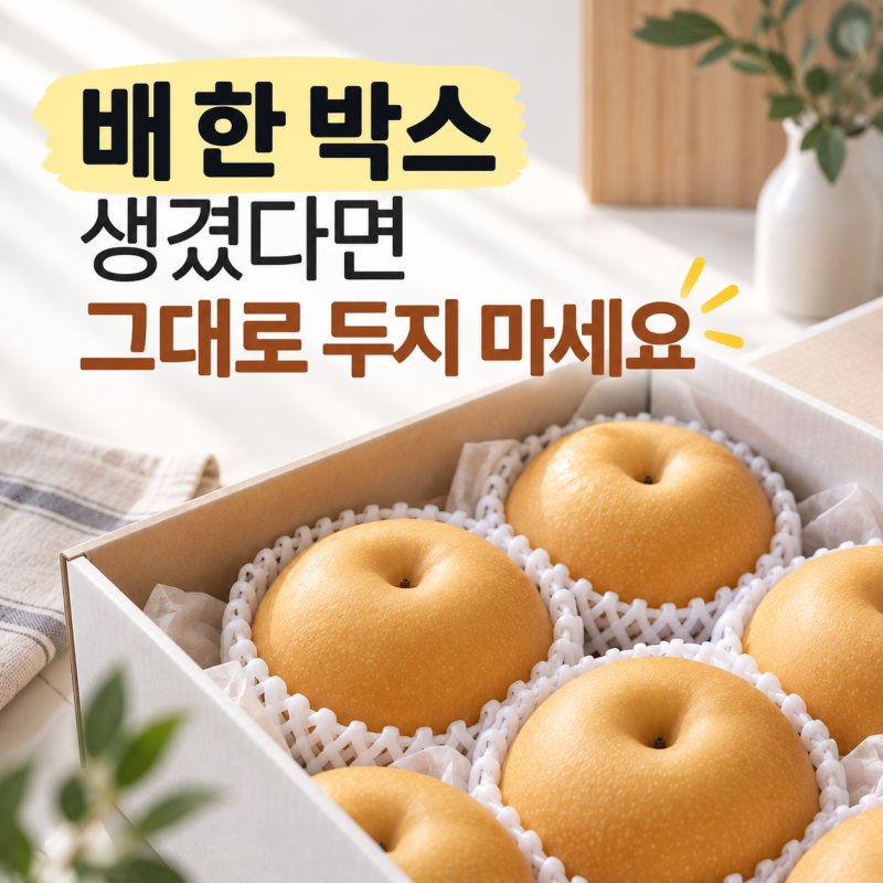 배 보관법｜실온·냉장 어디에 둬야 오래갈까?