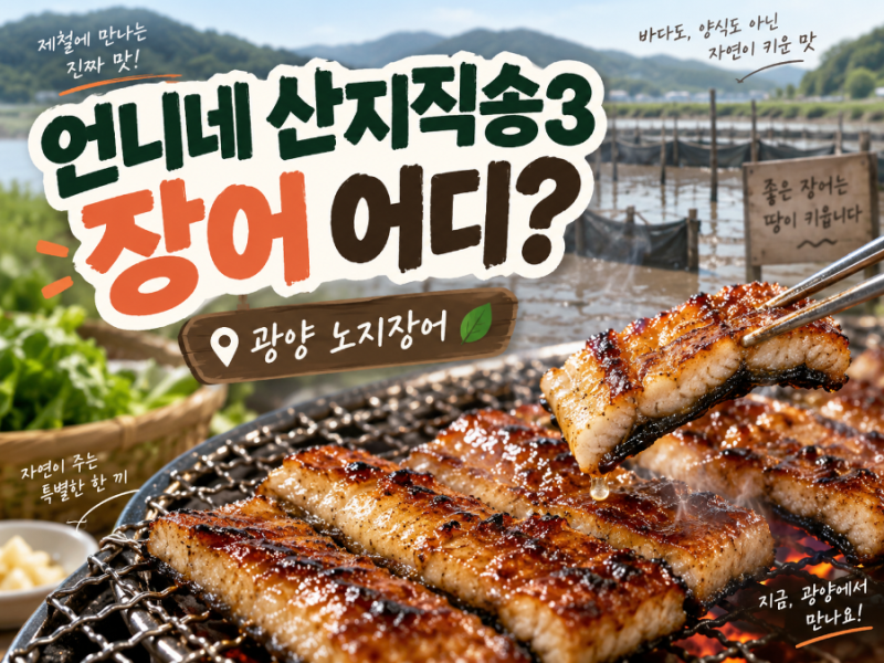 언니네 산지직송3 장어 어디?｜광양 노지장어 4천마리·숯불구이까지