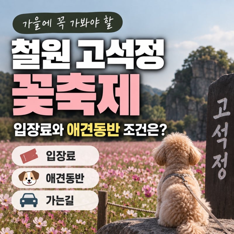 철원 고석정 꽃축제 가기 전 확인하세요, 입장료와 애견동반 조건은?