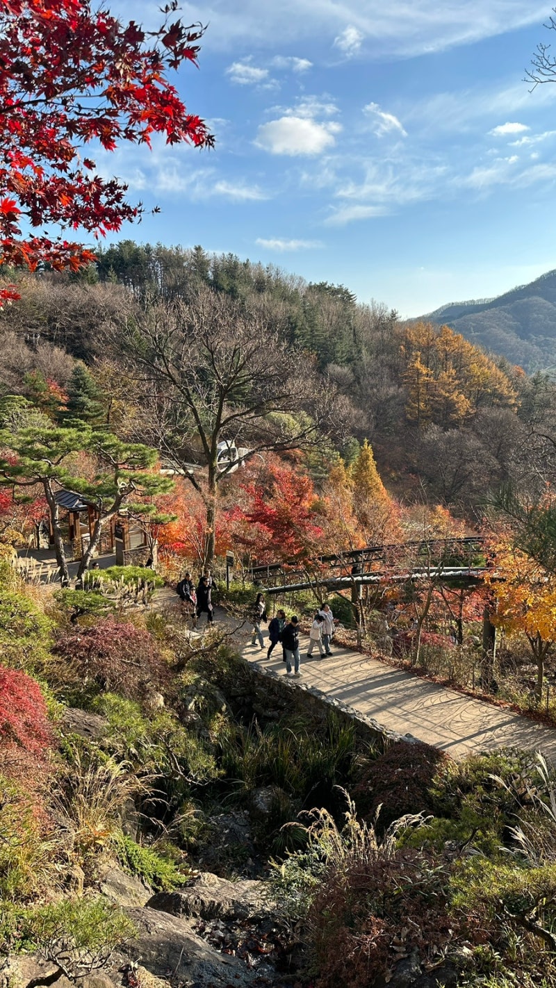 11월 화담숲 후기｜가을 단풍 모습과 소요시간, 모노레일 없이 다녀온 후기