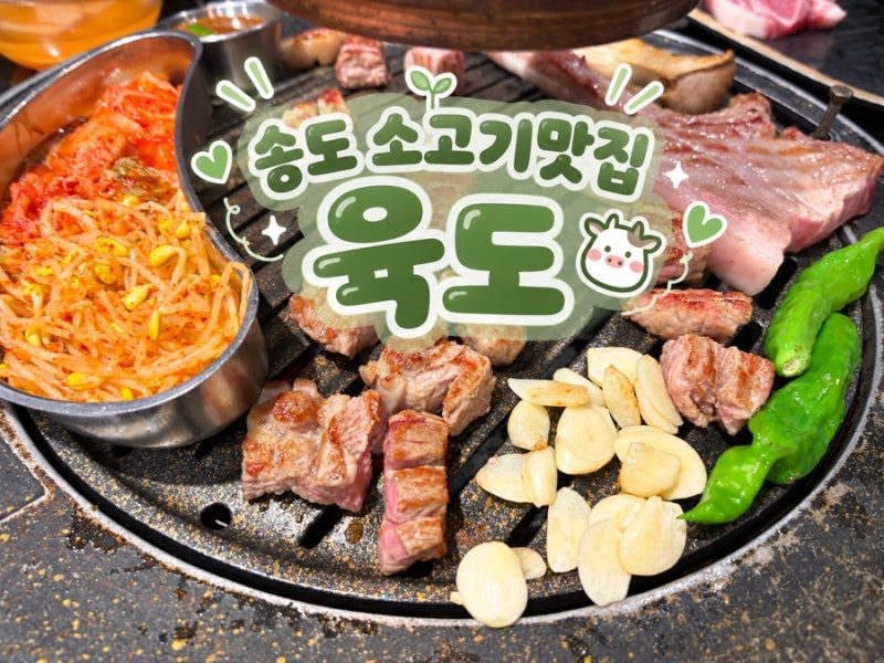 [인천] 송도 애견동반 식당, 송도 소고기맛집 육도 솔직 후기｜육도 돼지 한판, 비빔냉면, 주....