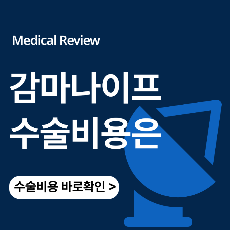 감마나이프 치료 보험 수술 비용은ㅣ뇌정위적방사선수술