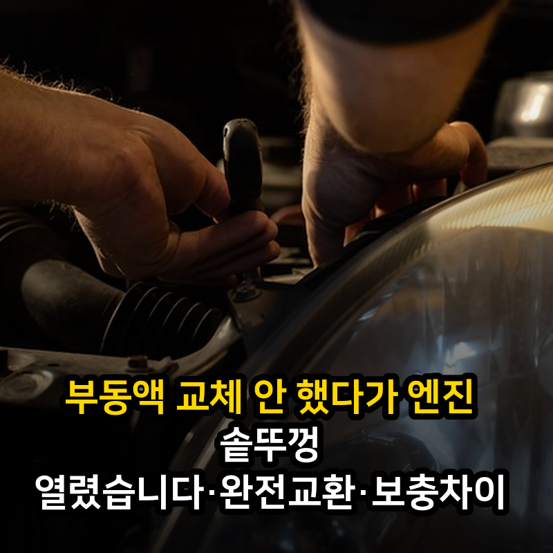 부동액 교체 안 했다가 엔진 솥뚜껑 열렸습니다·완전교환·보충차이
