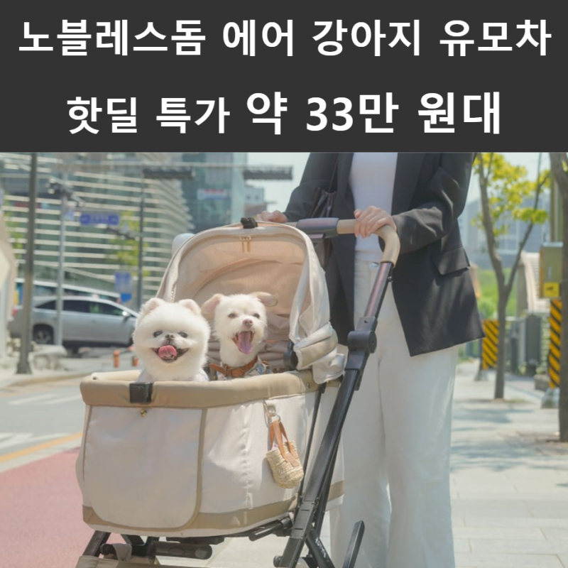 로띠에 노블레스돔 에어 강아지 유모차 장단점 핫딜 특가 약 33만원대 혜택