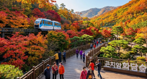 화담숲 단풍시기 및 모노레일 예약 꿀팁