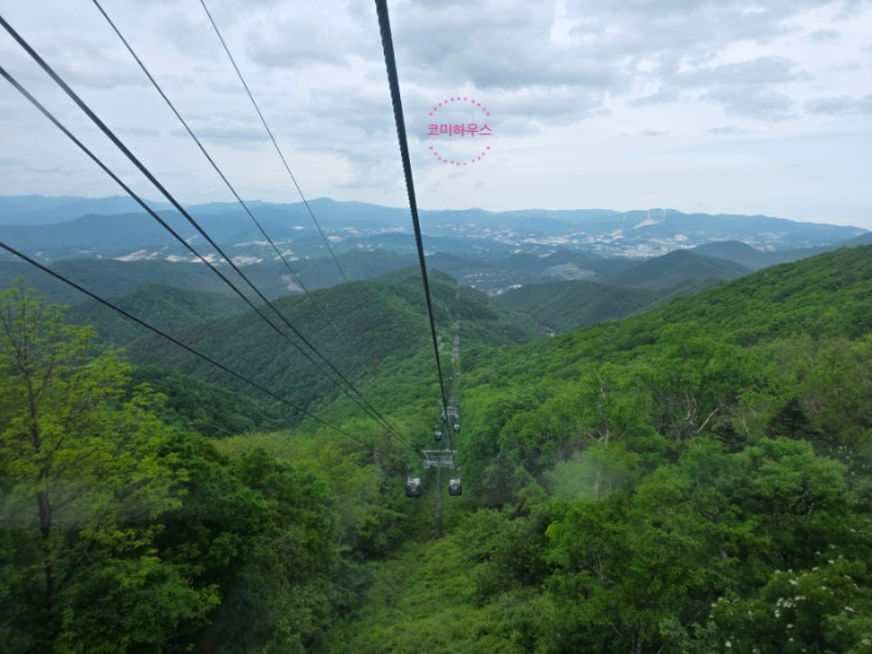 평창 여행 발왕산 케이블카｜현장보다 저렴하게 예매 가능한 예약링크