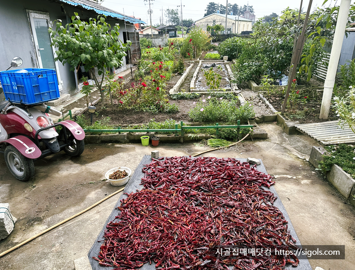 전북 김제시 토지와 밭 및 시골집 단독주택 매매합니다. 대지 273㎡, 전 80.4㎡ 귀농 귀촌용 농....