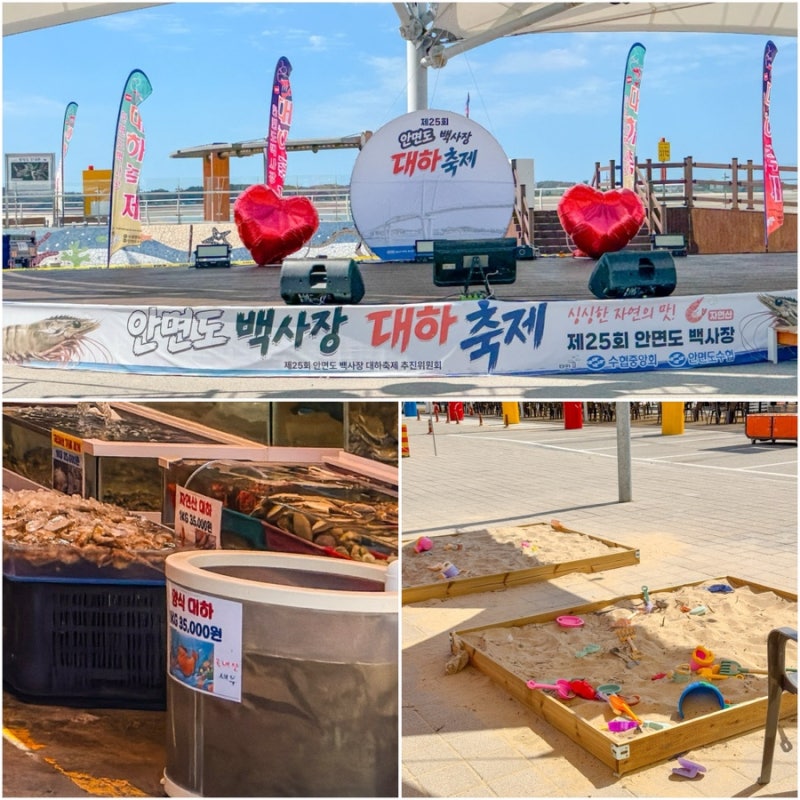 태안 안면도 백사장항 수산시장 대하축제 가격 일정 주차