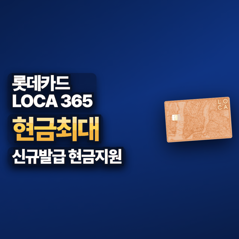 롯데카드 설계사 추천 로카365 고정비 규모별 한 해 실이득