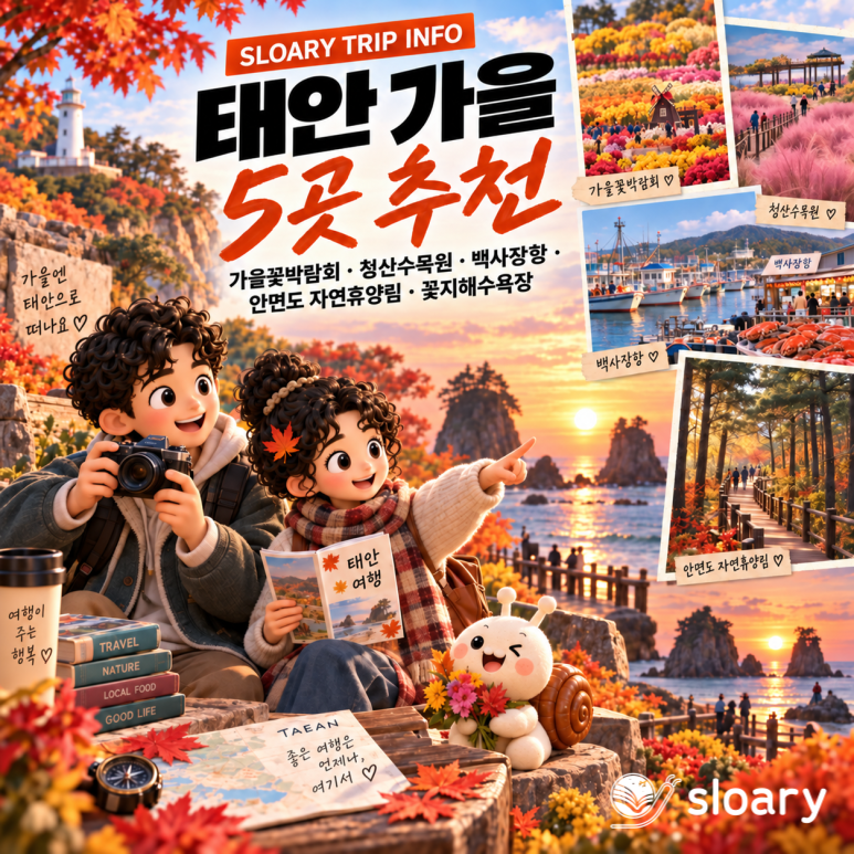 2026 가을 태안 가볼만한곳 5곳 추천｜가을꽃박람회와 함께 가기 좋은 곳