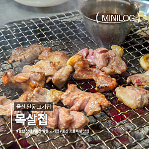 울산 달동 고기집 목살집 남구 삼산 꼬들목살 맛집 회식장소 추천