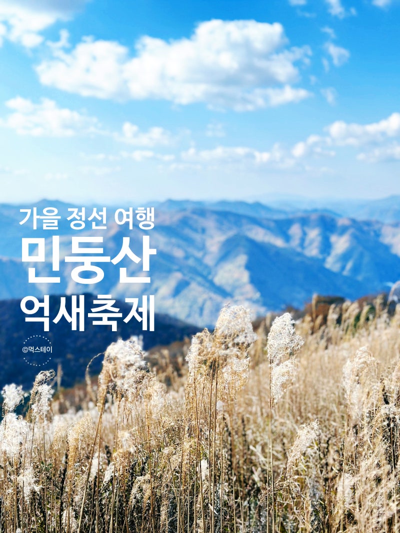 2026 민둥산 억새축제 등린이 최단코스 바뀐 정보 꿀팁 정리