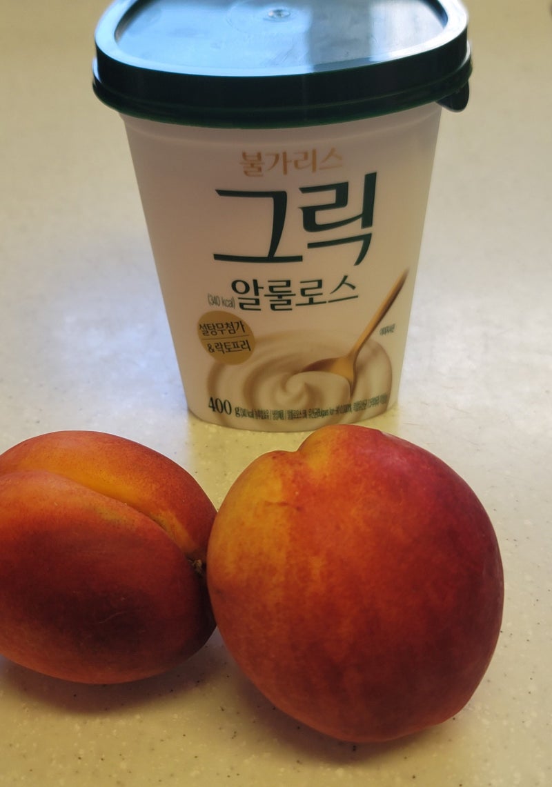 남양 불가리스 그릭 알룰로스 요거트 고단백 유산균
