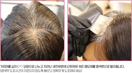 밀본 염색약 올디브보떼, 밝은 새치커버 실패하는 이유 딱 정리