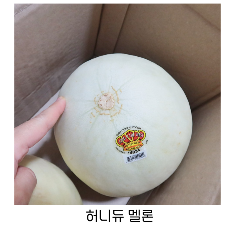 시즌과일 허니듀 멜론 맛있게 먹는 법! 후숙방법부터 보관법까지