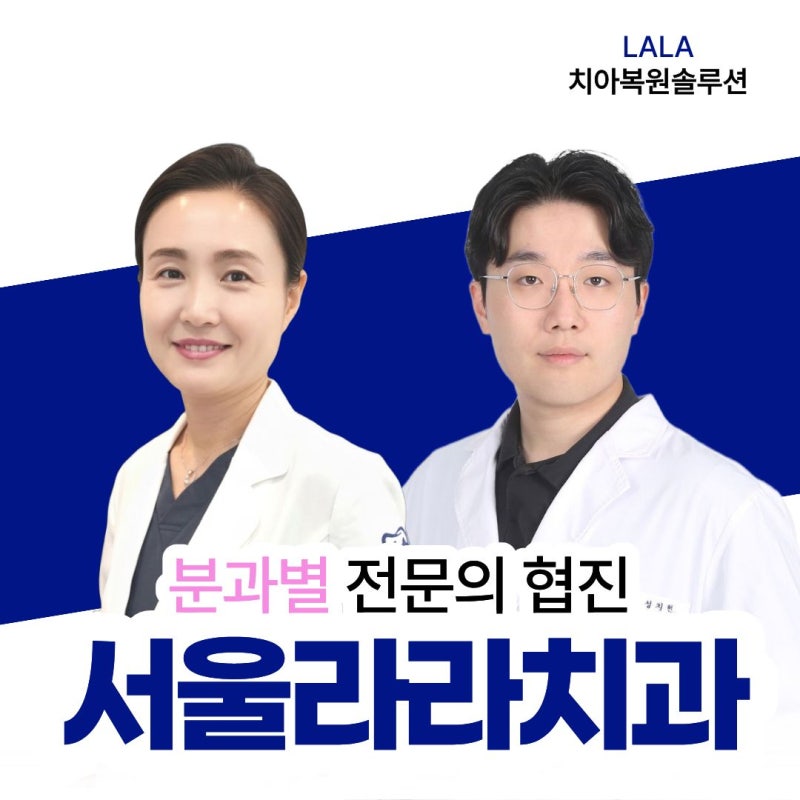 경기광주 치과 임플란트 비용 비교, 병원마다 가격이 다른 이유?｜초월·오포 인근 서울라라....