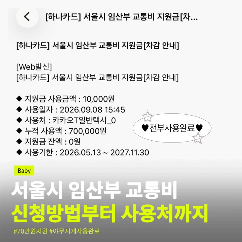 2026 서울시 임산부 교통비 70만원 다 쓴 후기｜신청방법부터 사용처까지